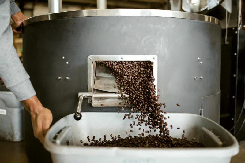 Roasted beans pouring out of the roaster door.
